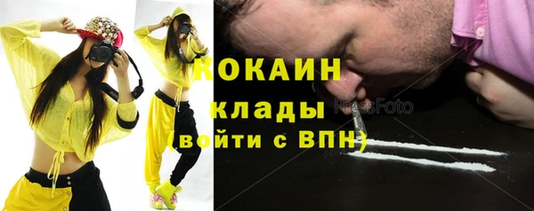 гашик Новозыбков