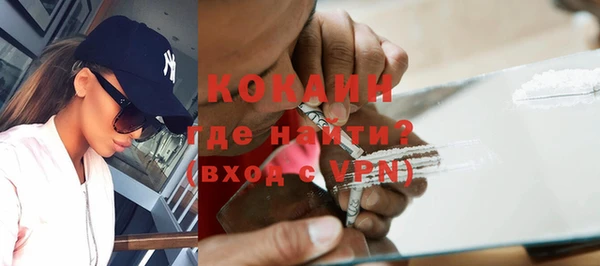 гашик Новозыбков