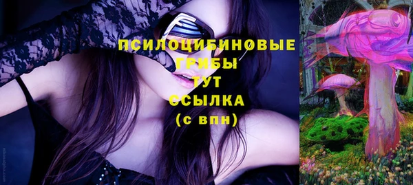 ПСИЛОЦИБИНОВЫЕ ГРИБЫ Нея