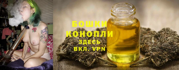 гашик Новозыбков