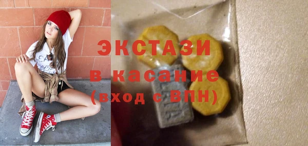 гашик Новозыбков