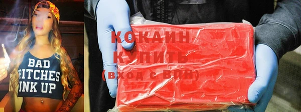 гашик Новозыбков